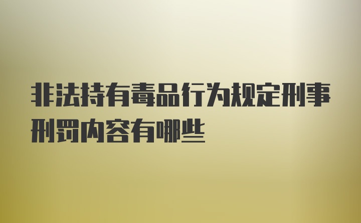 非法持有毒品行为规定刑事刑罚内容有哪些