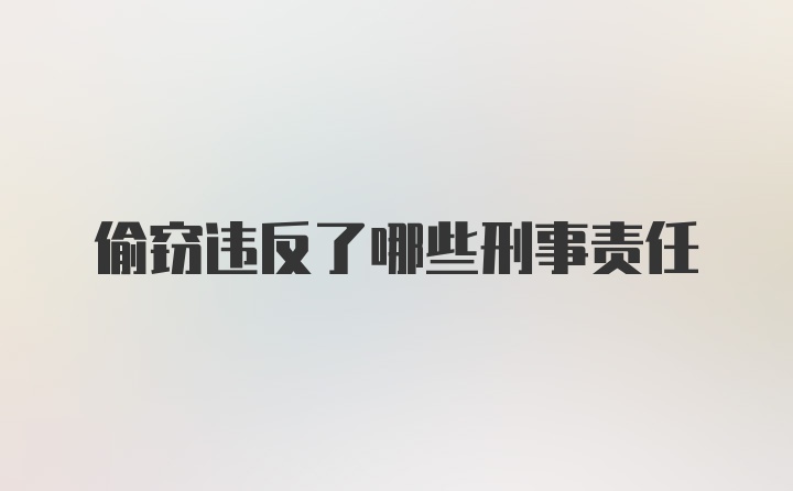 偷窃违反了哪些刑事责任