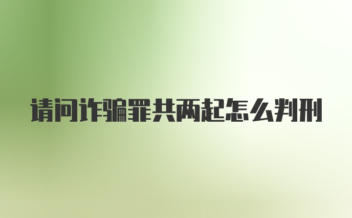 请问诈骗罪共两起怎么判刑