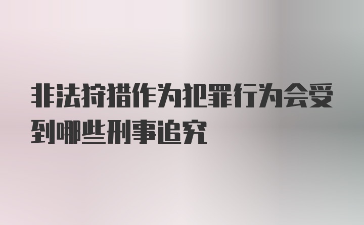 非法狩猎作为犯罪行为会受到哪些刑事追究