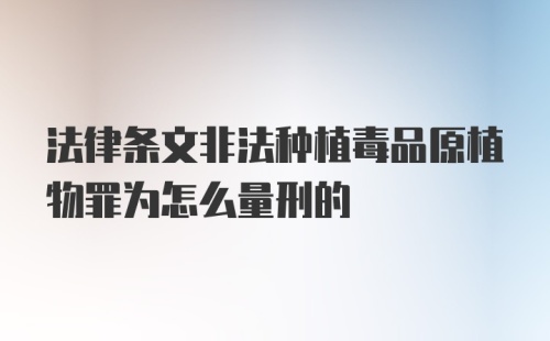 法律条文非法种植毒品原植物罪为怎么量刑的