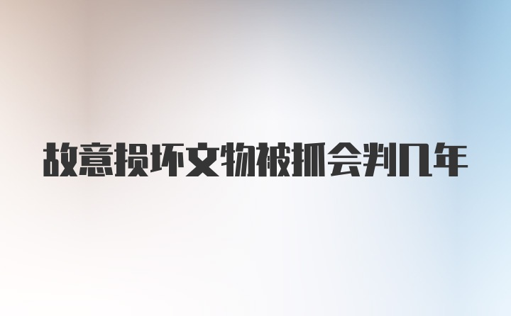 故意损坏文物被抓会判几年