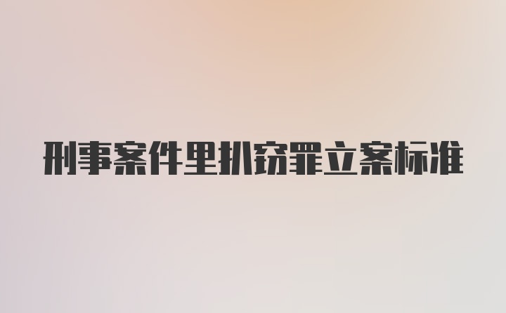 刑事案件里扒窃罪立案标准