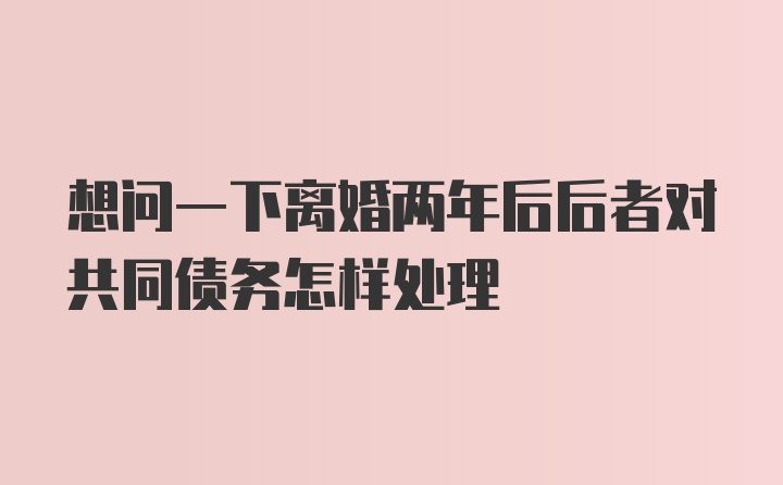 想问一下离婚两年后后者对共同债务怎样处理