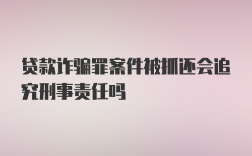 贷款诈骗罪案件被抓还会追究刑事责任吗