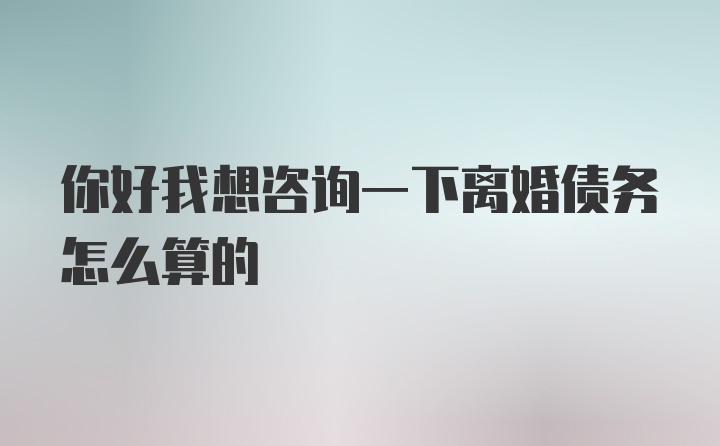 你好我想咨询一下离婚债务怎么算的