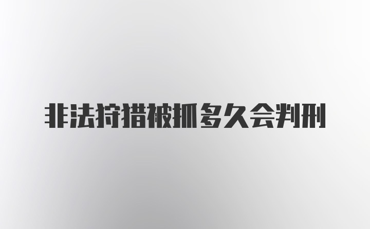 非法狩猎被抓多久会判刑