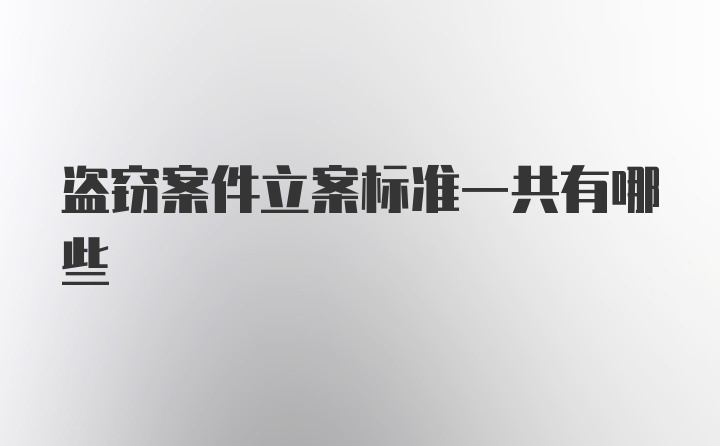 盗窃案件立案标准一共有哪些