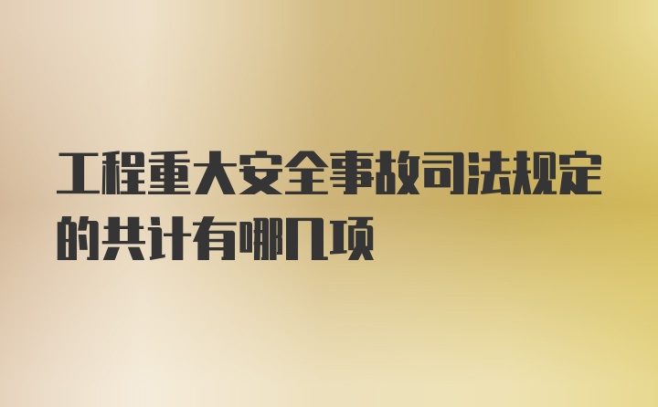 工程重大安全事故司法规定的共计有哪几项