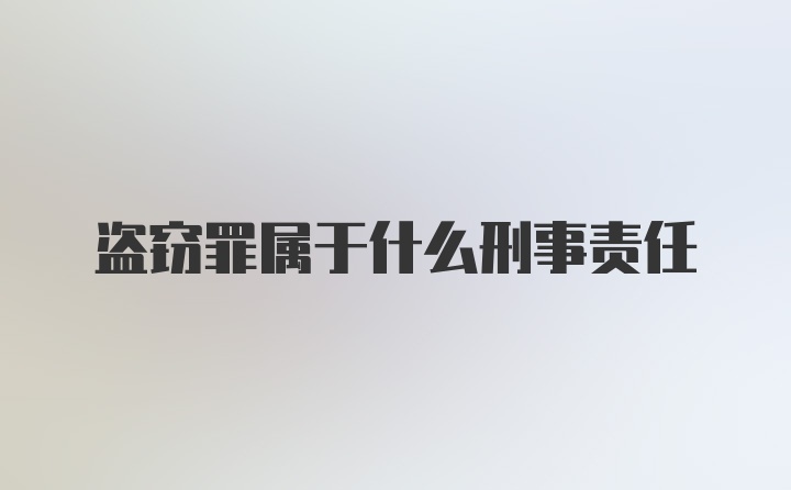 盗窃罪属于什么刑事责任