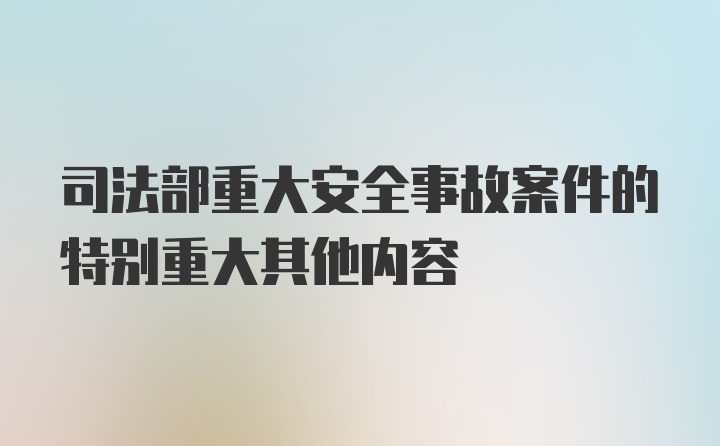 司法部重大安全事故案件的特别重大其他内容