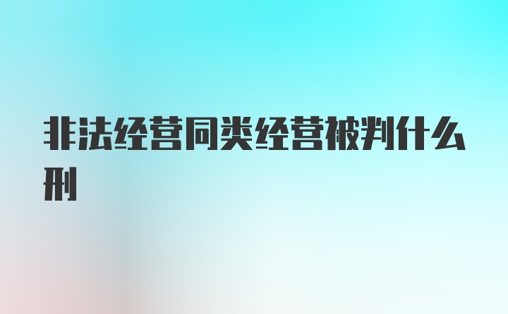 非法经营同类经营被判什么刑