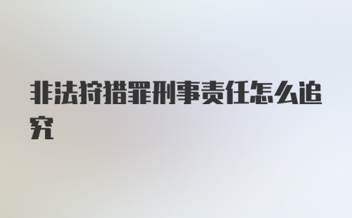 非法狩猎罪刑事责任怎么追究