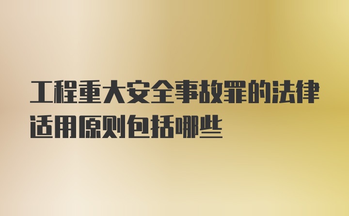 工程重大安全事故罪的法律适用原则包括哪些