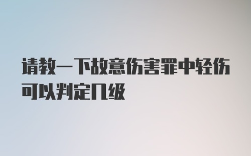 请教一下故意伤害罪中轻伤可以判定几级