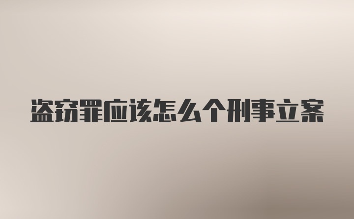 盗窃罪应该怎么个刑事立案