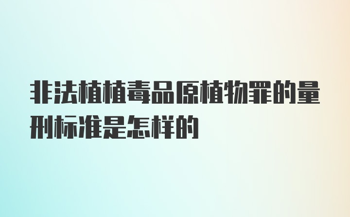 非法植植毒品原植物罪的量刑标准是怎样的