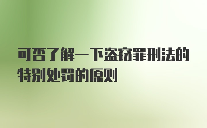 可否了解一下盗窃罪刑法的特别处罚的原则