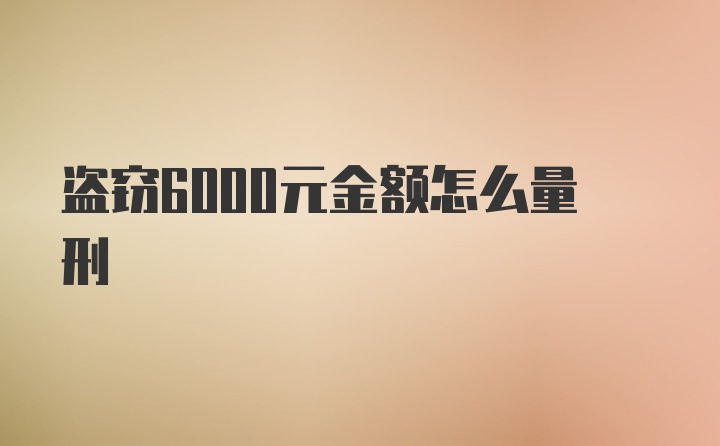 盗窃6000元金额怎么量刑