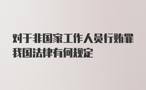 对于非国家工作人员行贿罪我国法律有何规定