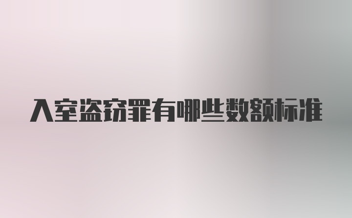 入室盗窃罪有哪些数额标准