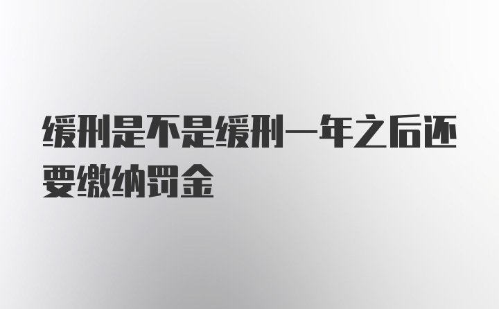 缓刑是不是缓刑一年之后还要缴纳罚金