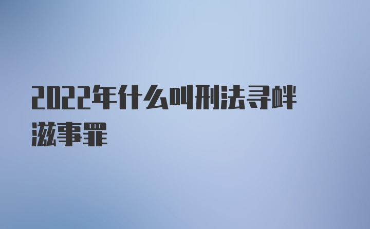 2022年什么叫刑法寻衅滋事罪