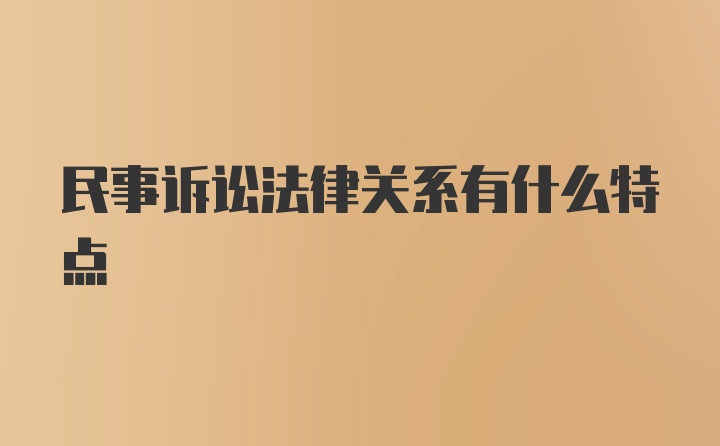 民事诉讼法律关系有什么特点