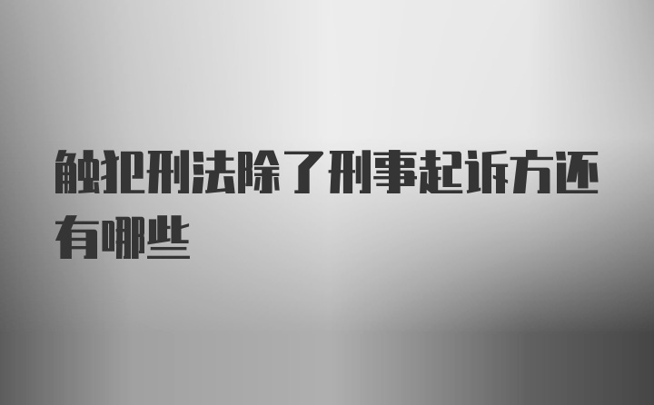 触犯刑法除了刑事起诉方还有哪些