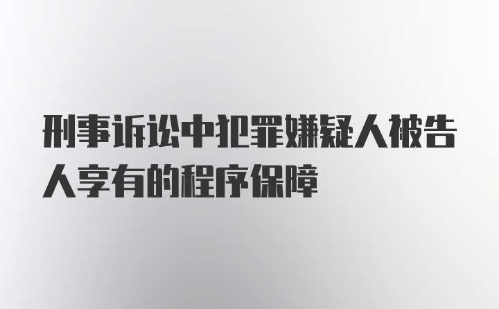 刑事诉讼中犯罪嫌疑人被告人享有的程序保障