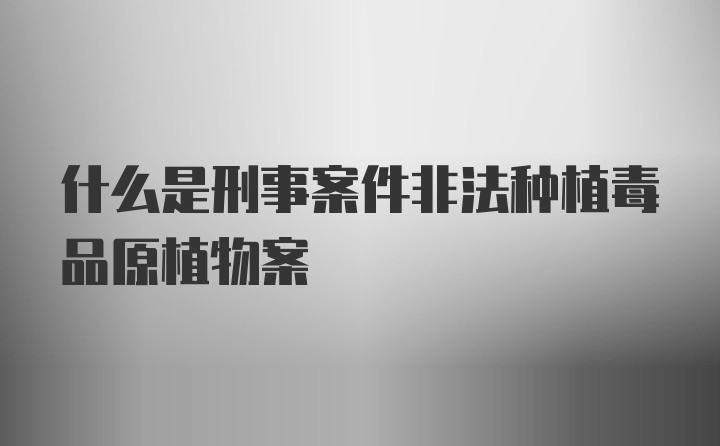 什么是刑事案件非法种植毒品原植物案