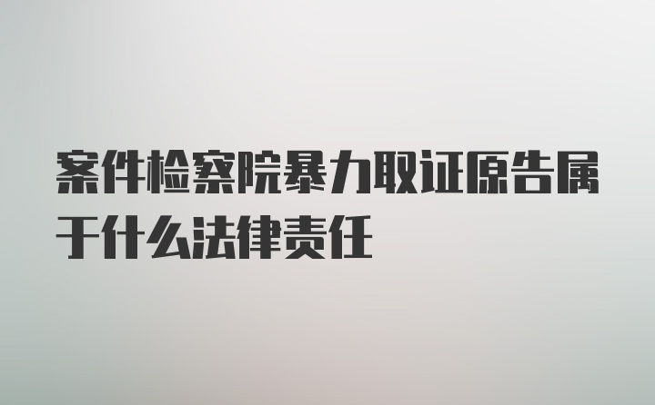 案件检察院暴力取证原告属于什么法律责任