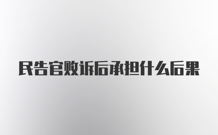 民告官败诉后承担什么后果