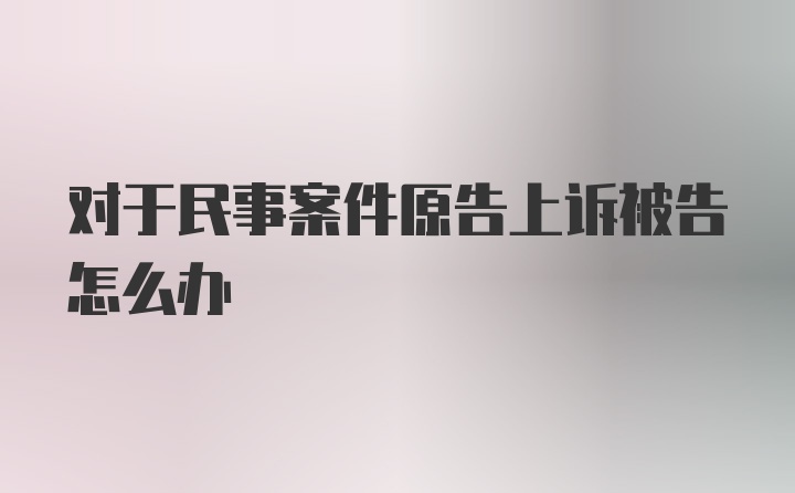 对于民事案件原告上诉被告怎么办