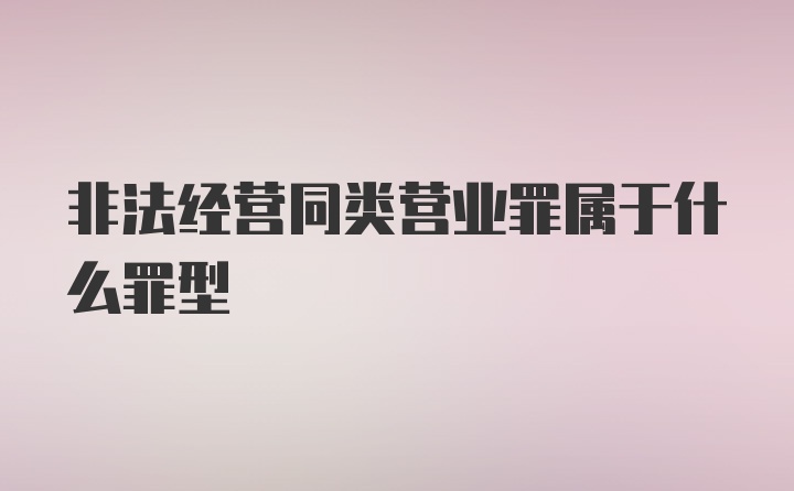 非法经营同类营业罪属于什么罪型