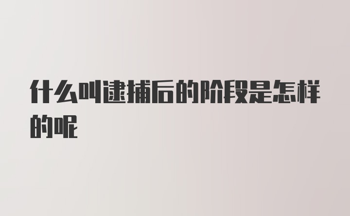 什么叫逮捕后的阶段是怎样的呢