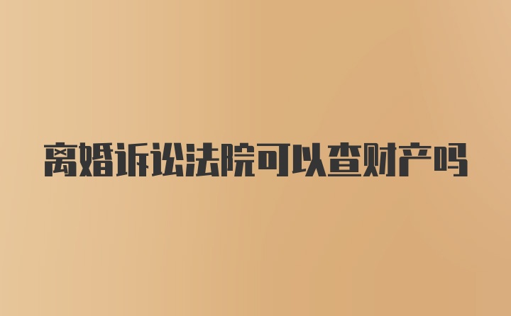 离婚诉讼法院可以查财产吗