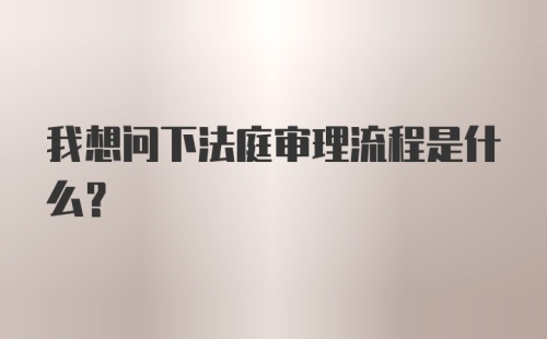 我想问下法庭审理流程是什么？