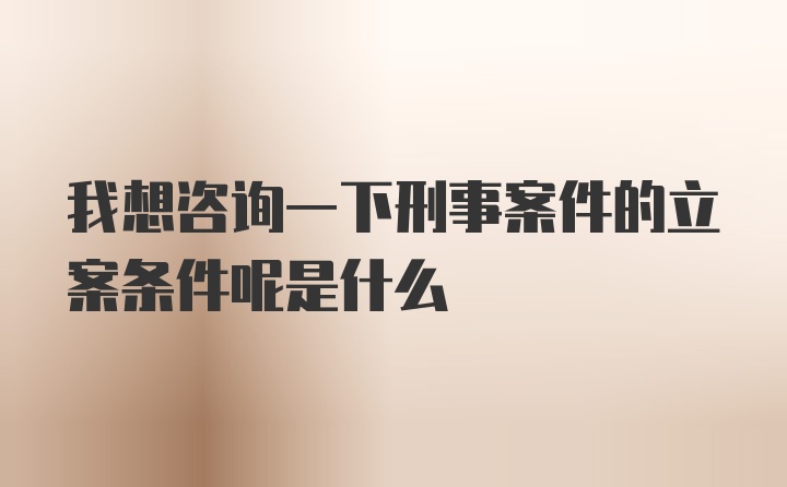 我想咨询一下刑事案件的立案条件呢是什么