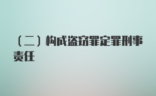 （二）构成盗窃罪定罪刑事责任