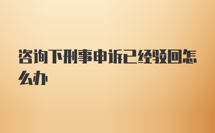 咨询下刑事申诉已经驳回怎么办