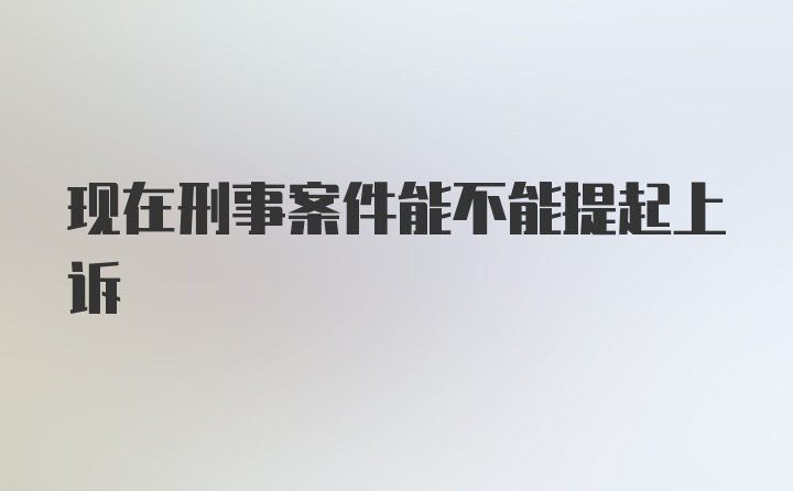 现在刑事案件能不能提起上诉