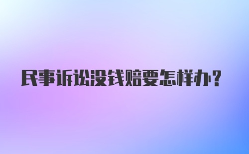 民事诉讼没钱赔要怎样办？