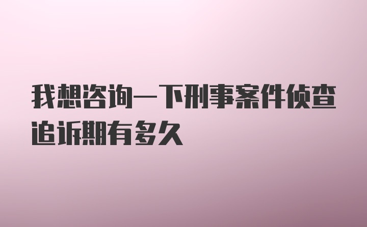 我想咨询一下刑事案件侦查追诉期有多久