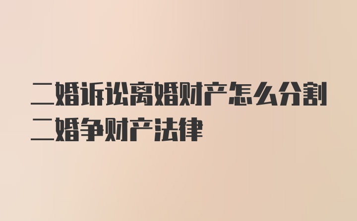 二婚诉讼离婚财产怎么分割二婚争财产法律