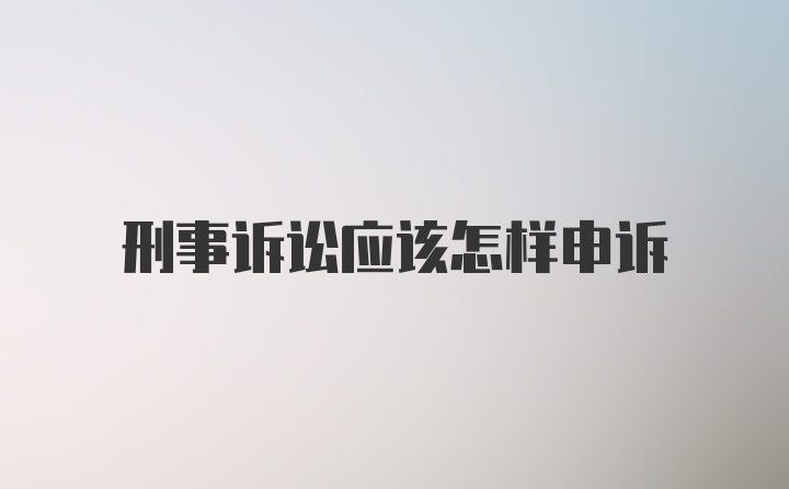 刑事诉讼应该怎样申诉