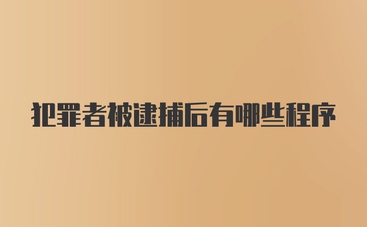 犯罪者被逮捕后有哪些程序