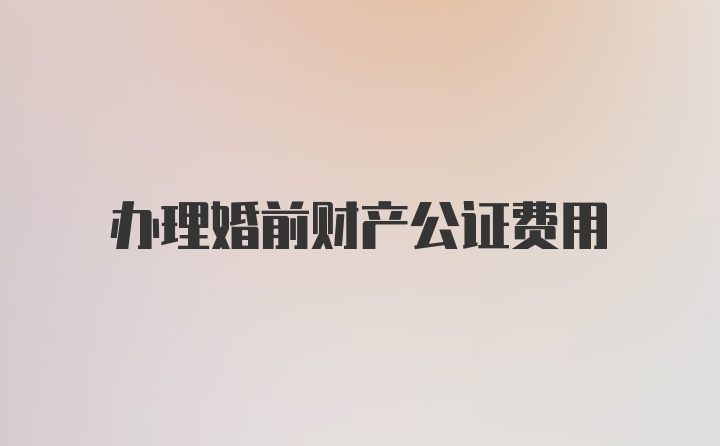 办理婚前财产公证费用