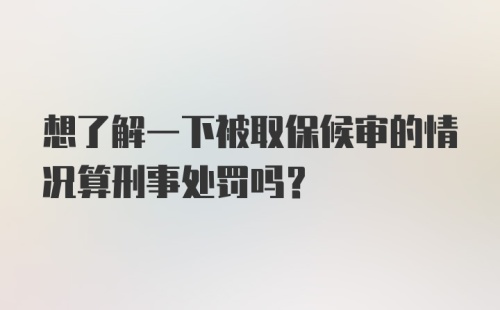 想了解一下被取保候审的情况算刑事处罚吗？