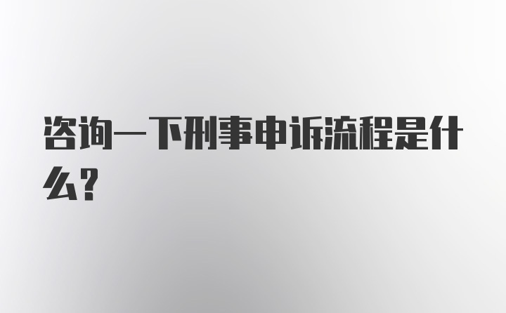 咨询一下刑事申诉流程是什么？